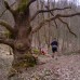 Trail des Cabornis : Les résultats du troisième tirage
