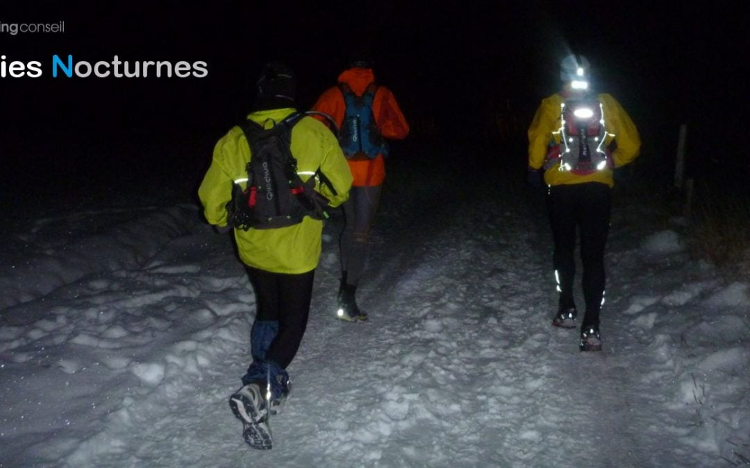 Sorties Nocturnes