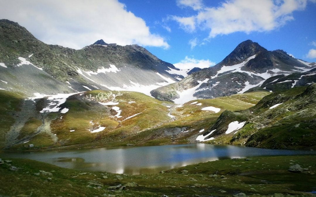 Trail Verbier St-Bernard 2013